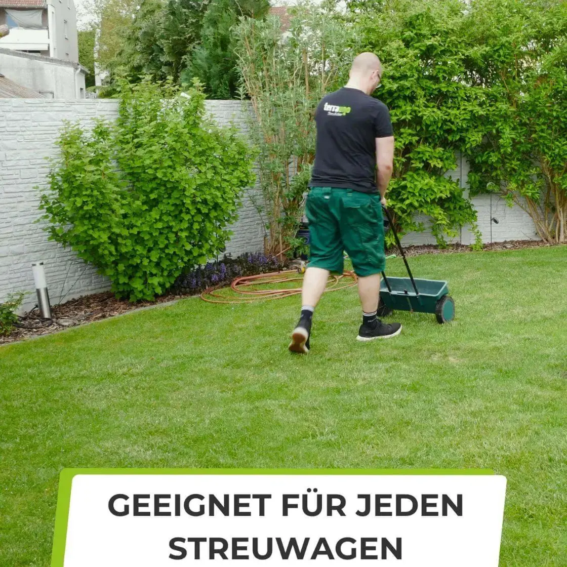 Rasendünger Sommer und Frühling - Image 12