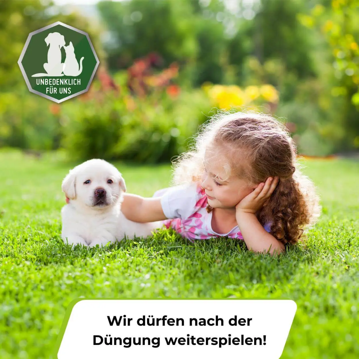Rasendünger Sommer und Frühling - Image 13