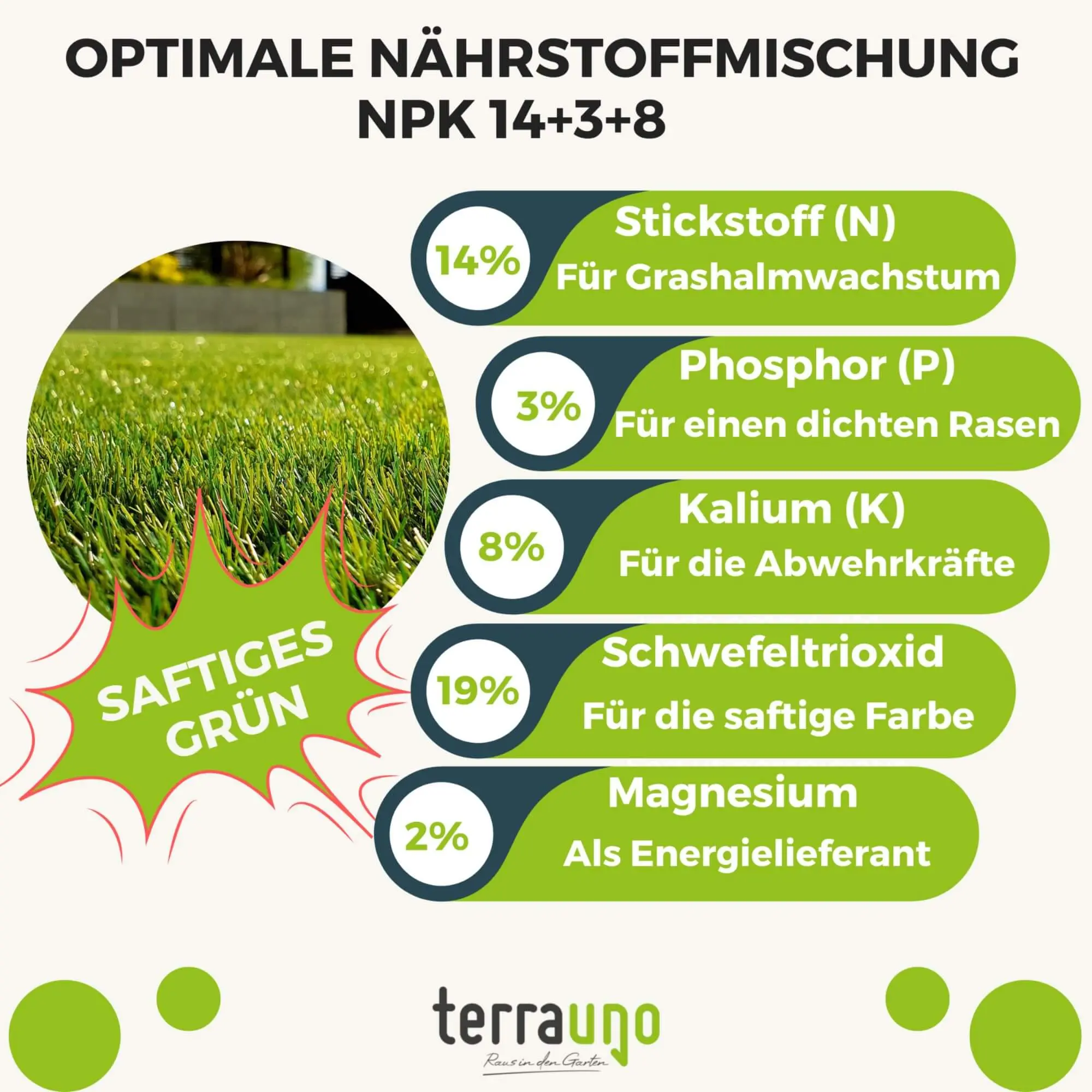 Rasendünger Sommer und Frühling - Image 15