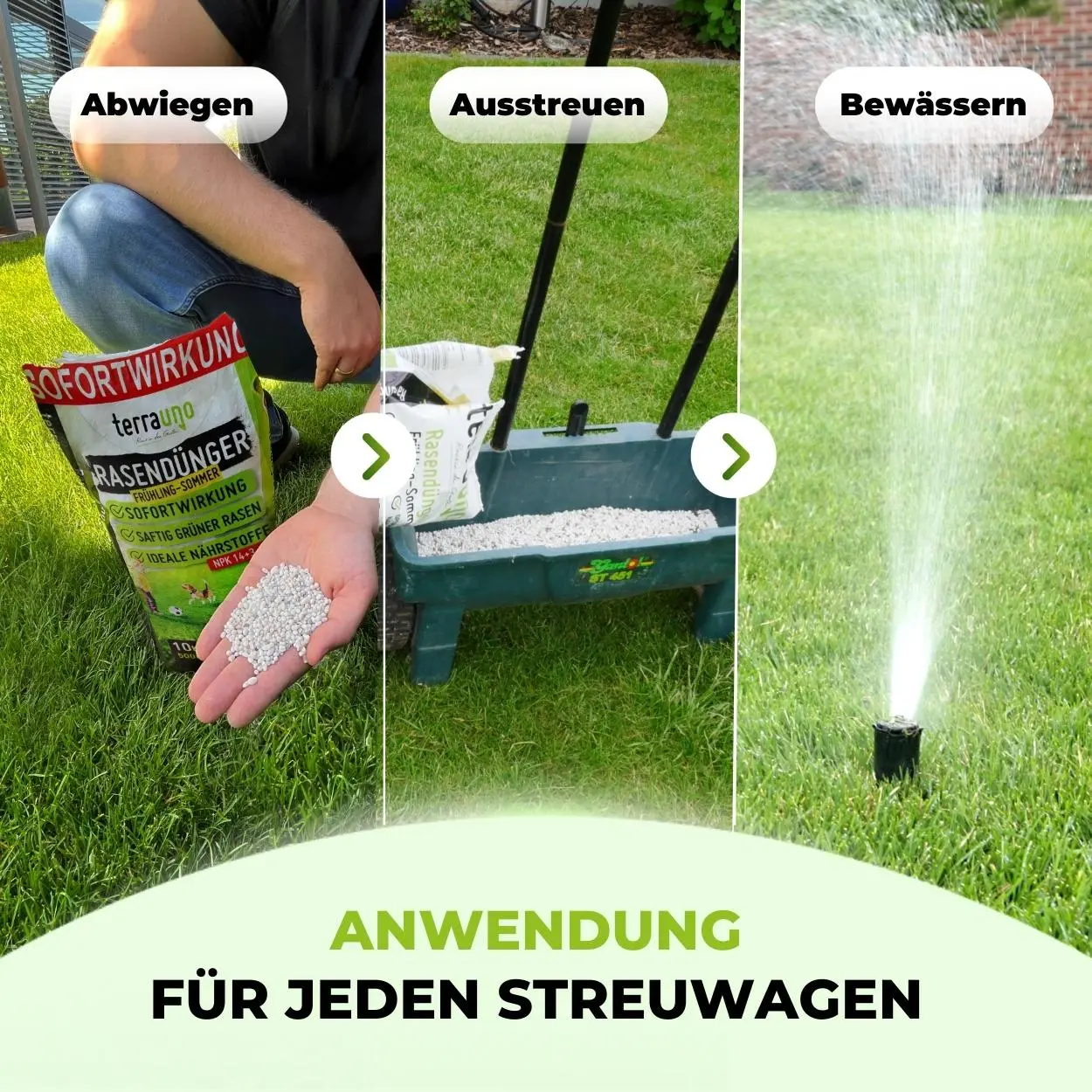 Rasendünger Frühjahr und Sommer - Angebot - Image 3