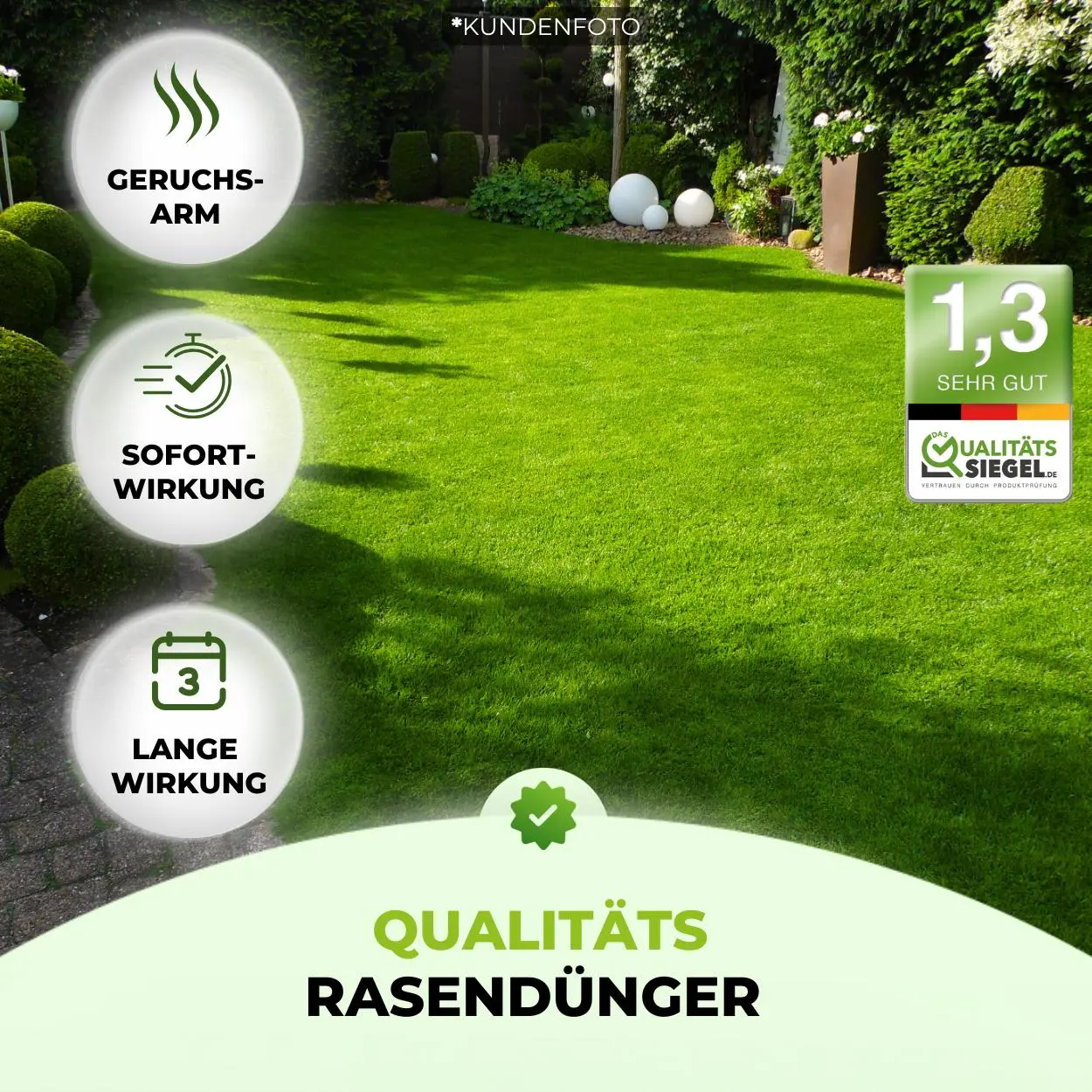 Rasendünger Frühjahr und Sommer - Angebot - Image 4
