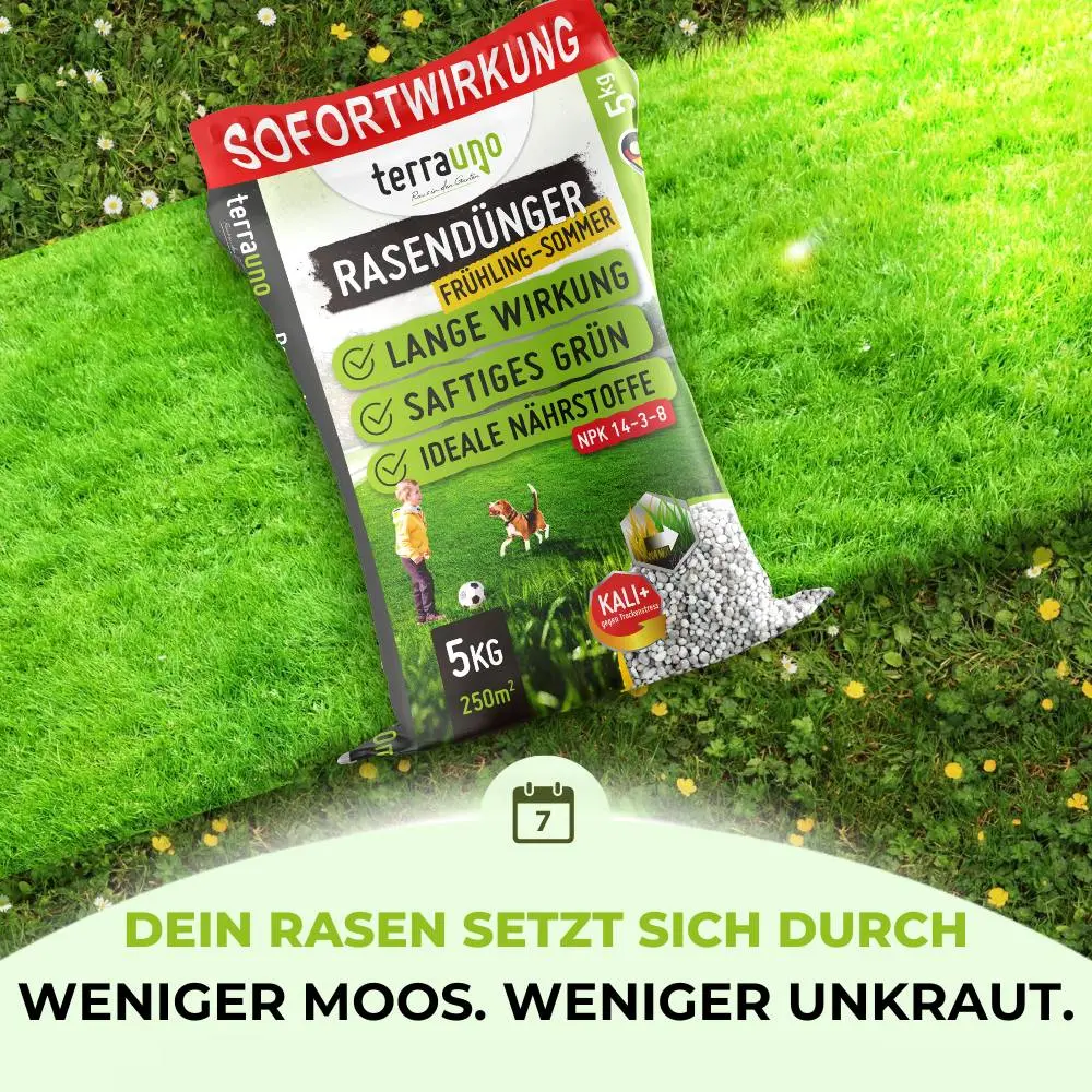 Rasendünger Frühjahr und Sommer - Angebot - Image 5