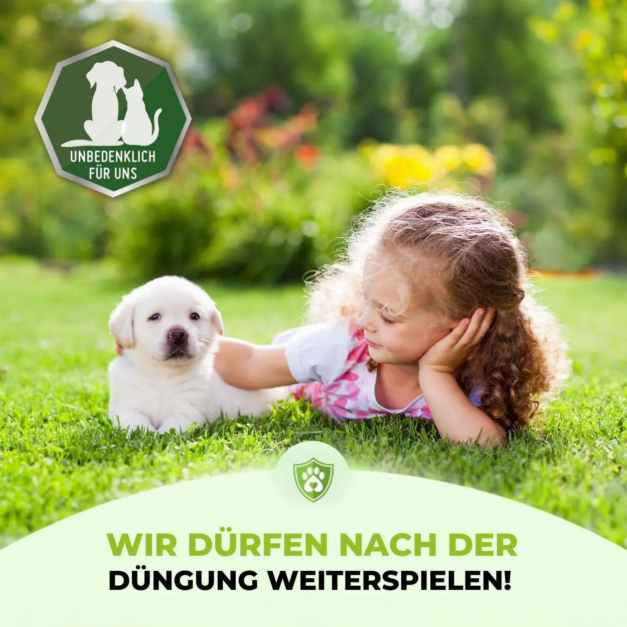 Rasendünger Frühjahr und Sommer - Angebot - Image 6