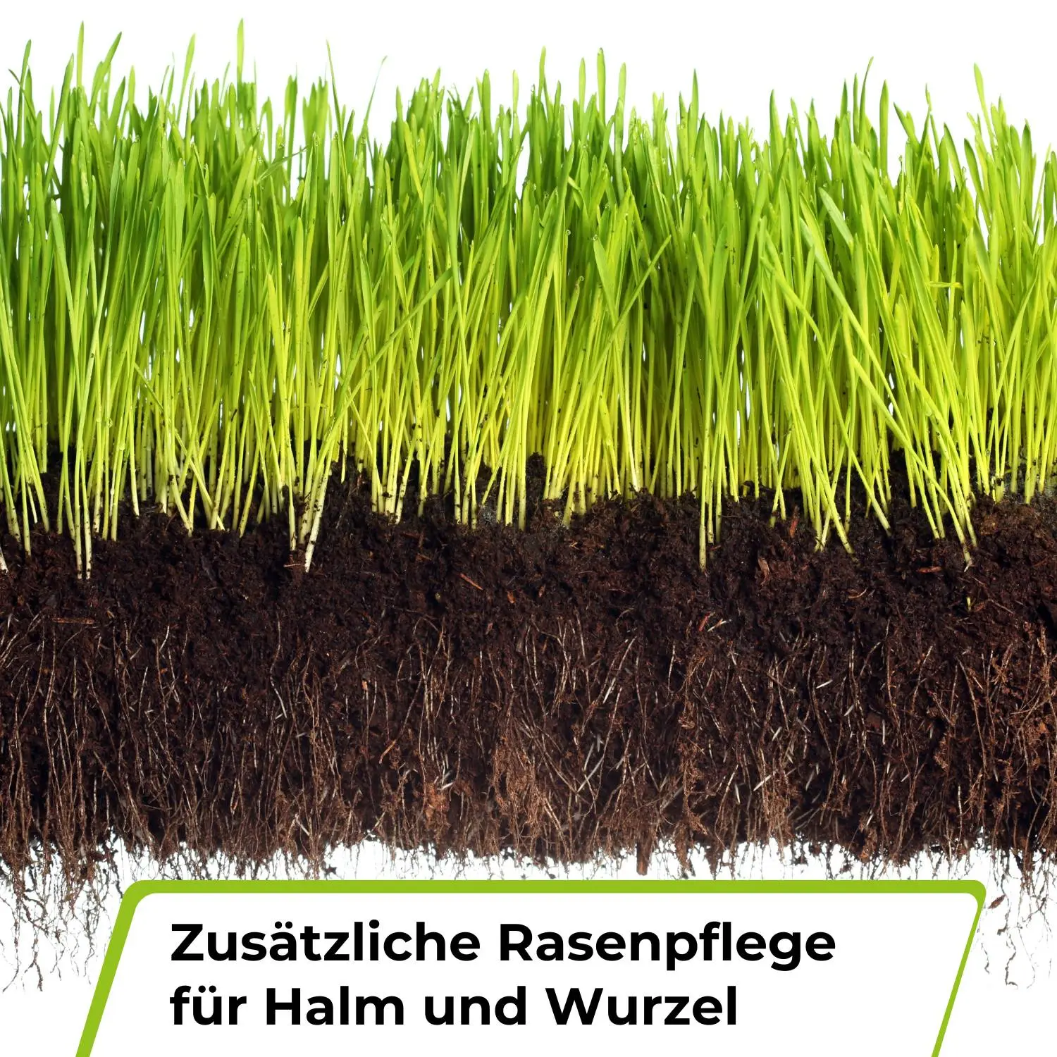 Premium - Rasendünger mit Unkrautvernichter 22-5-5 - Image 4