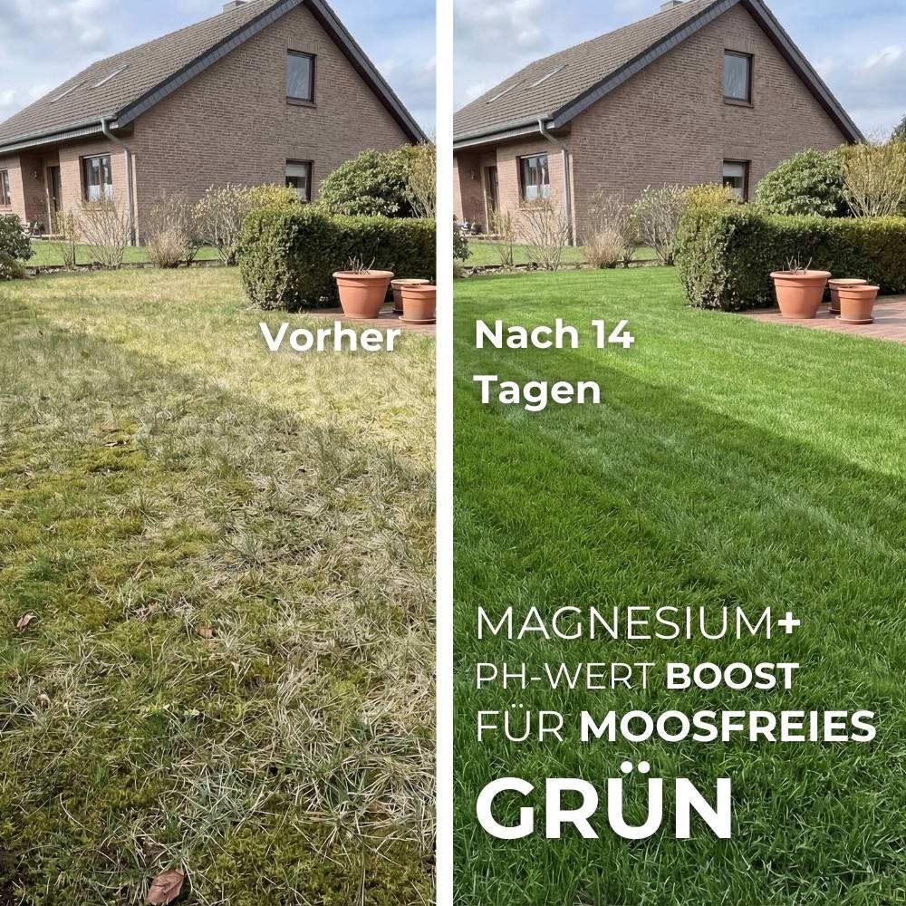 Rasenkalk - Angebot - Image 2
