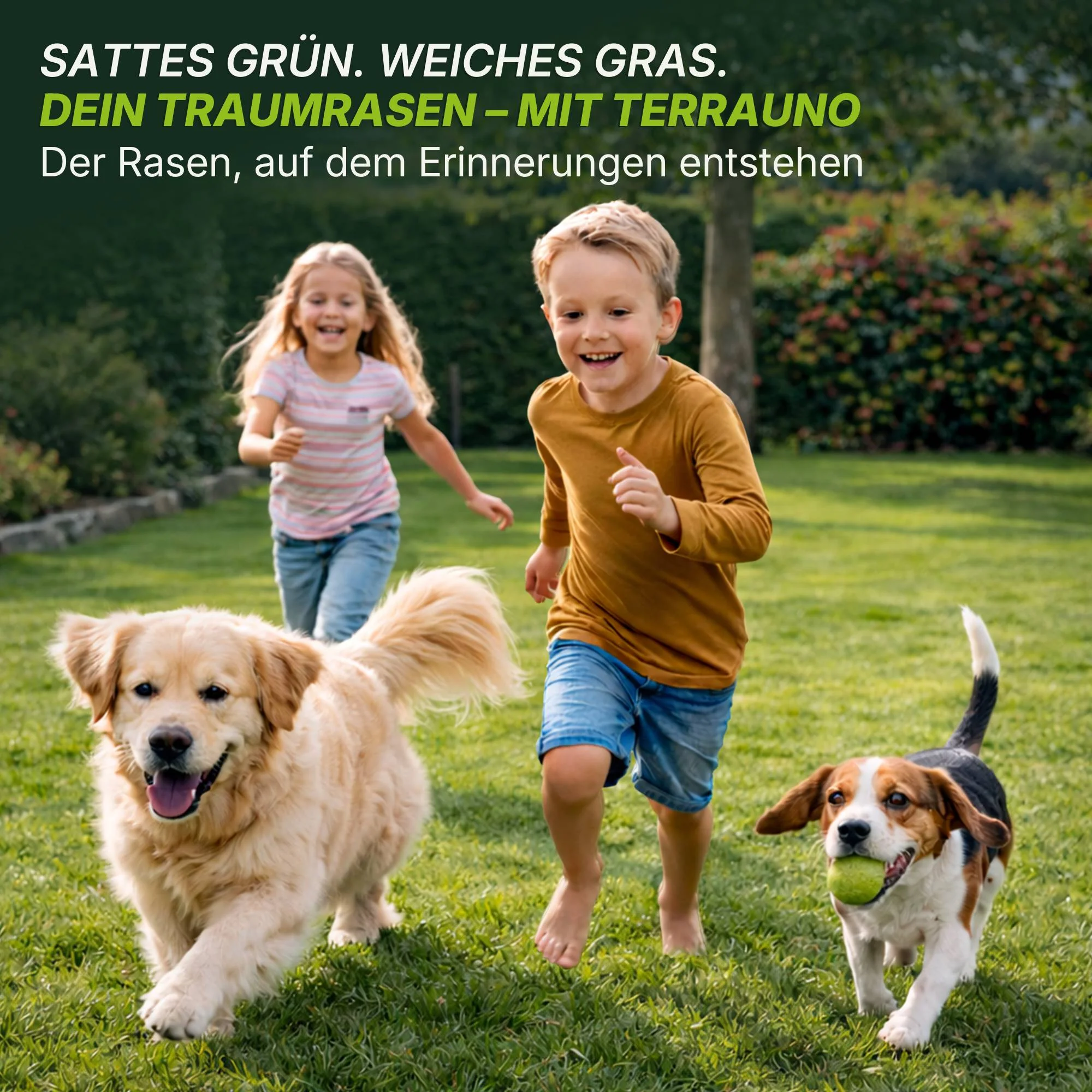 Rasenretter & Vertikutiermix - Image 7