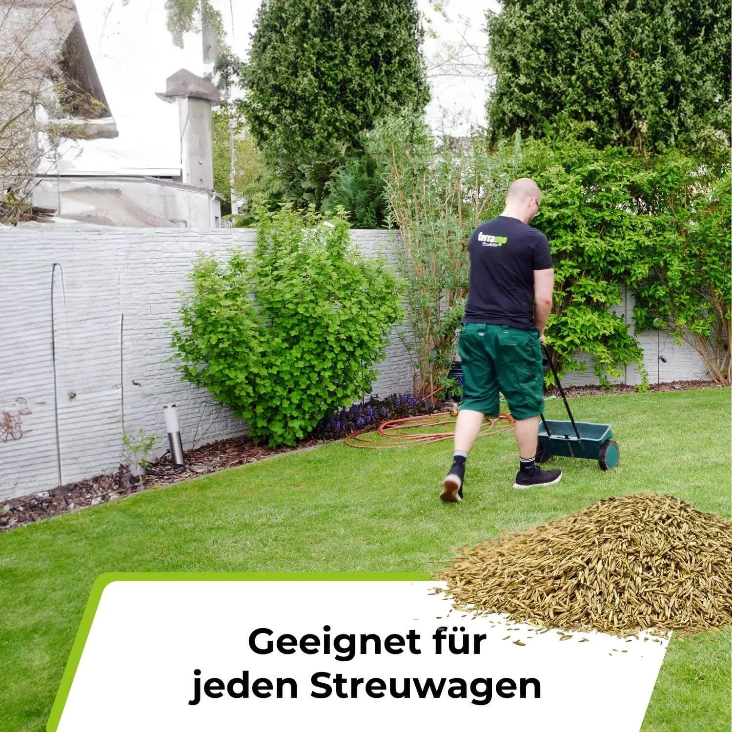 Rasensamen - Nachsaat, Reparatur und Neuanlage - Image 10