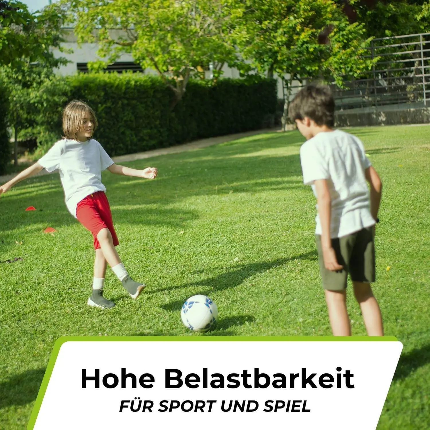 Rasensamen - Nachsaat, Reparatur und Neuanlage - Image 11
