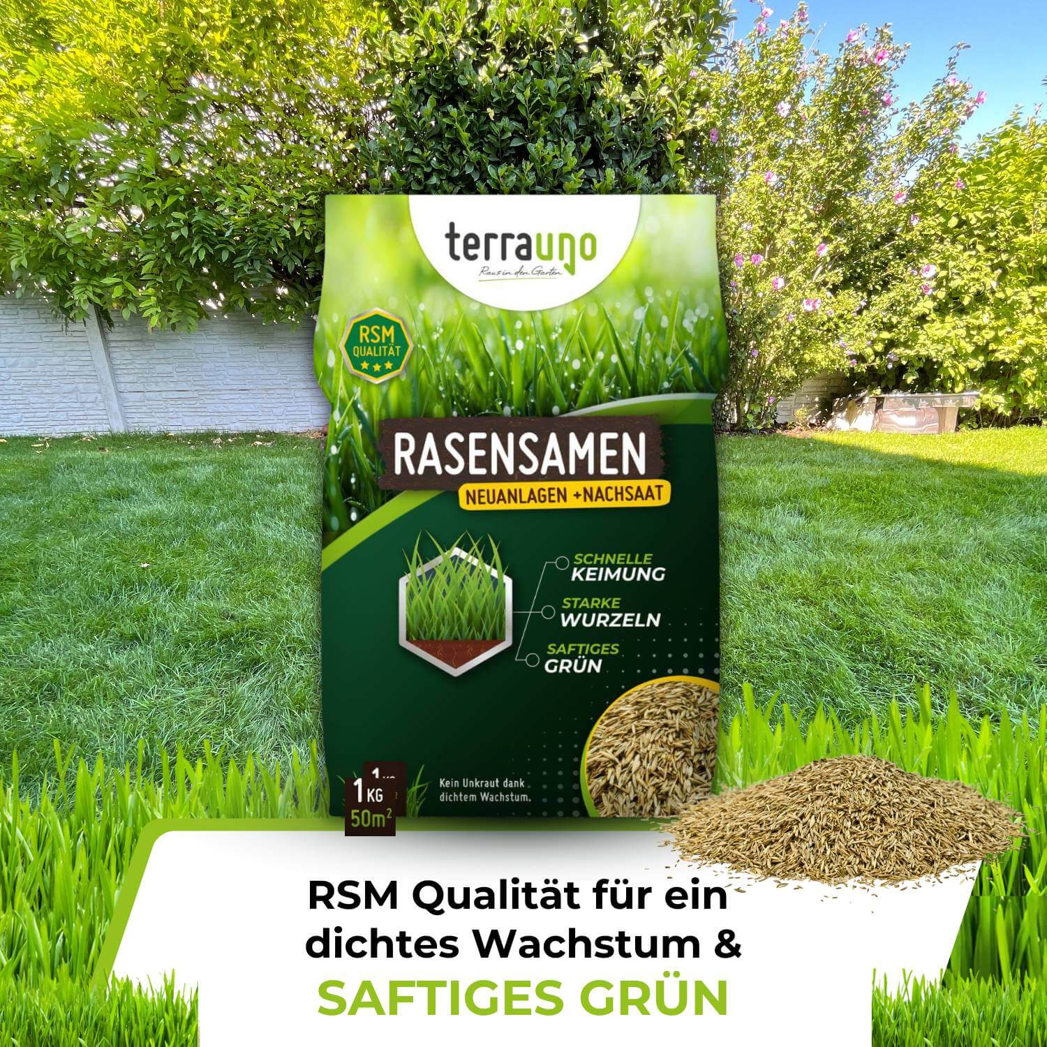 Rasensamen - Nachsaat, Reparatur und Neuanlage - Image 17