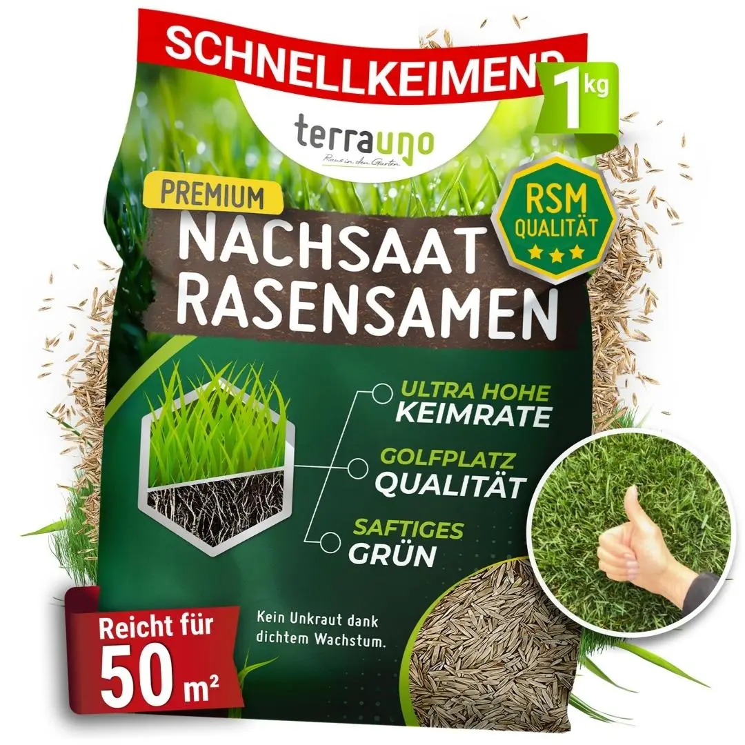 Rasensamen - Nachsaat, Reparatur und Neuanlage - Image 31