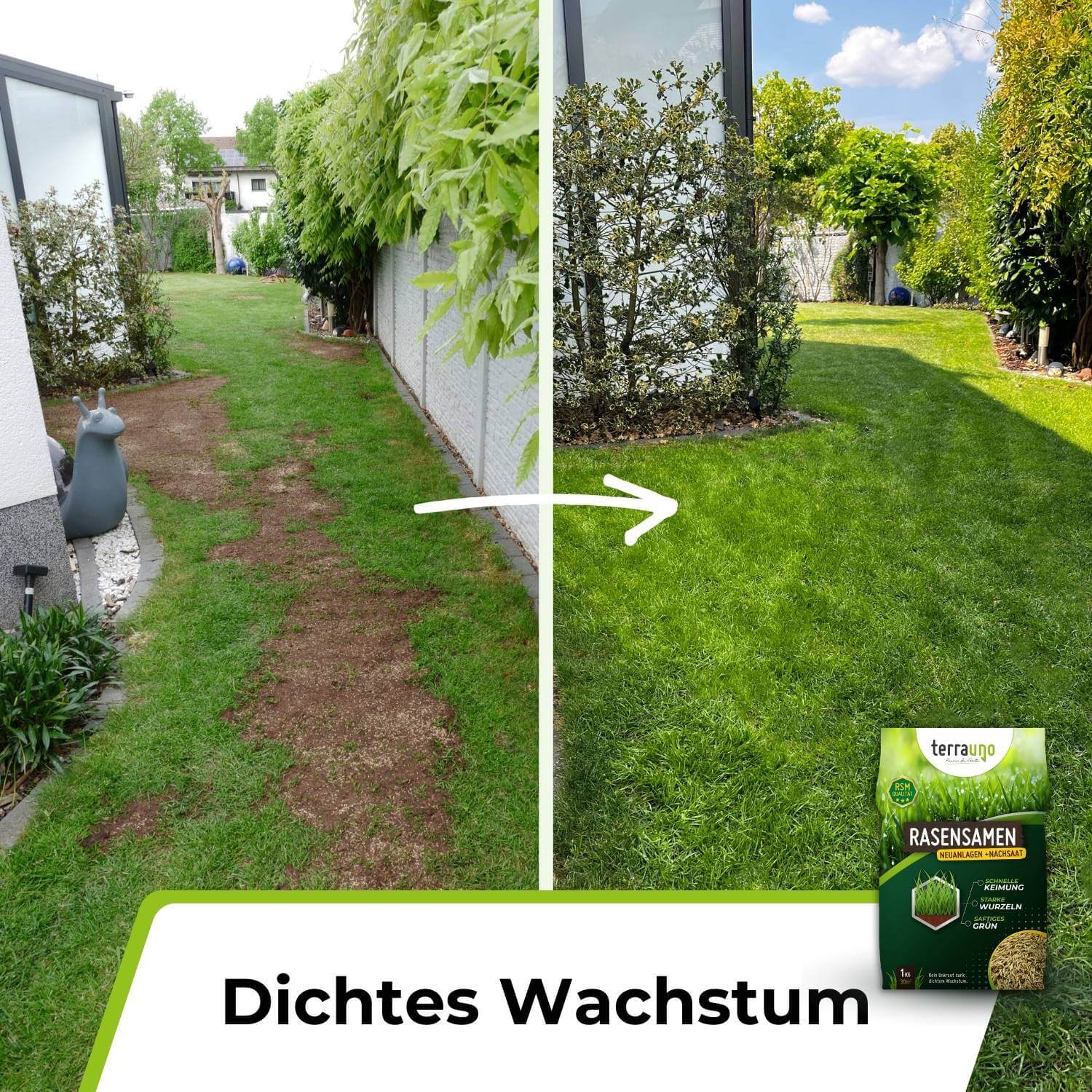 Rasensamen - Nachsaat, Reparatur und Neuanlage - Image 7