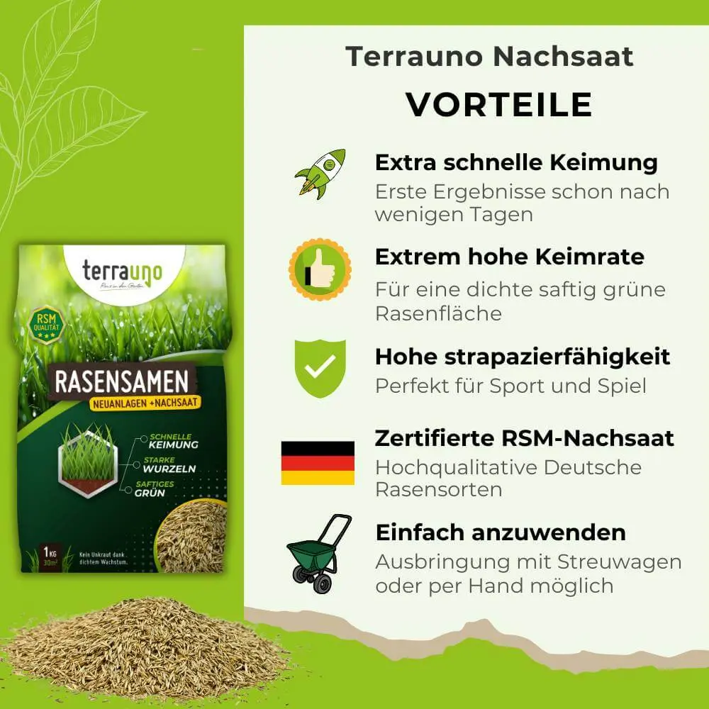 Rasensamen - Nachsaat, Reparatur und Neuanlage - Image 9