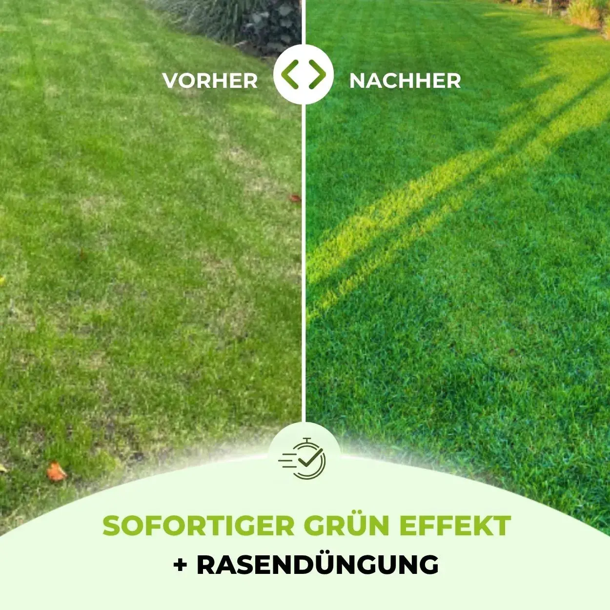Speed Rasendünger N21 - Image 3